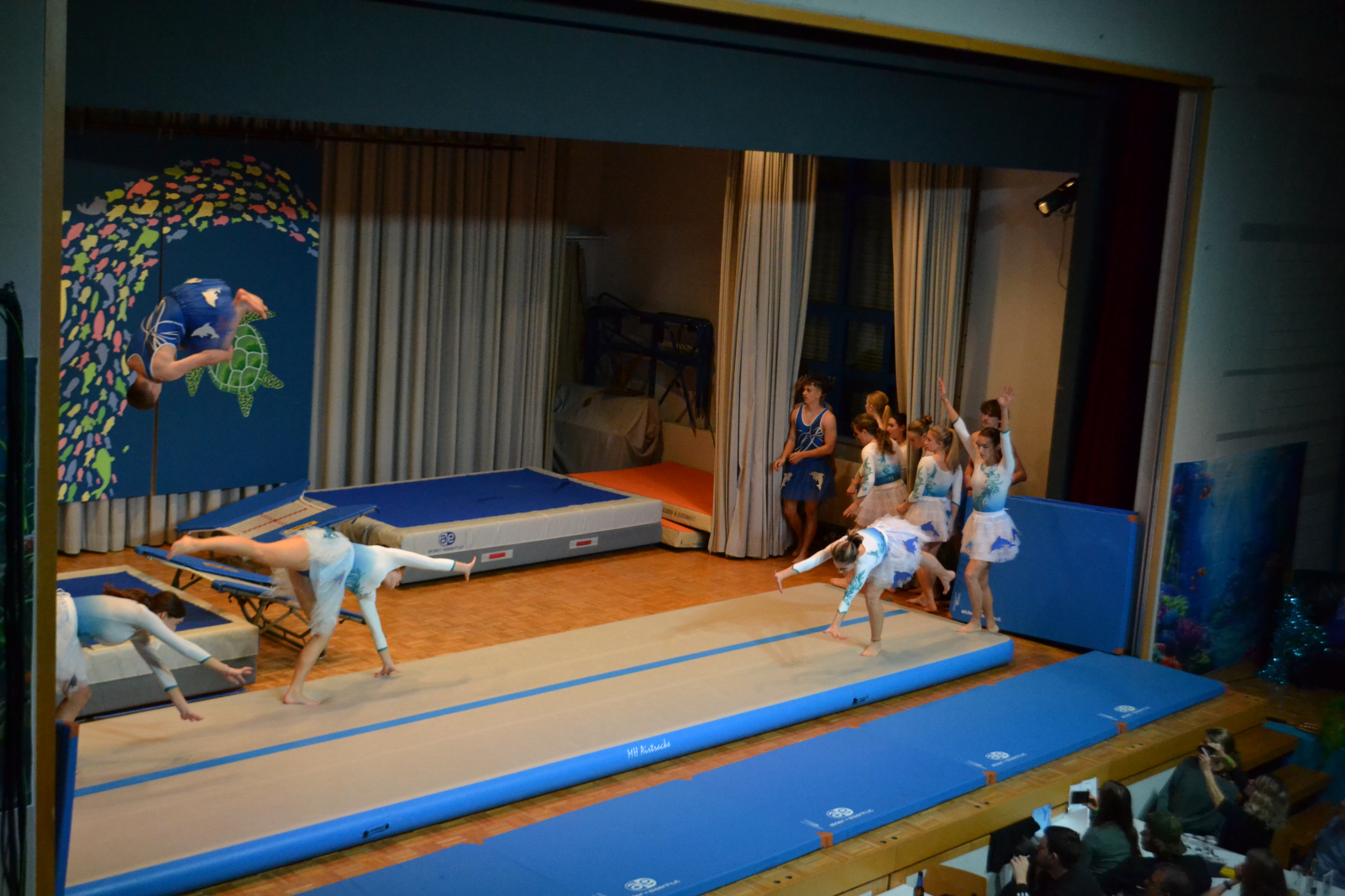 Bild2 (62)